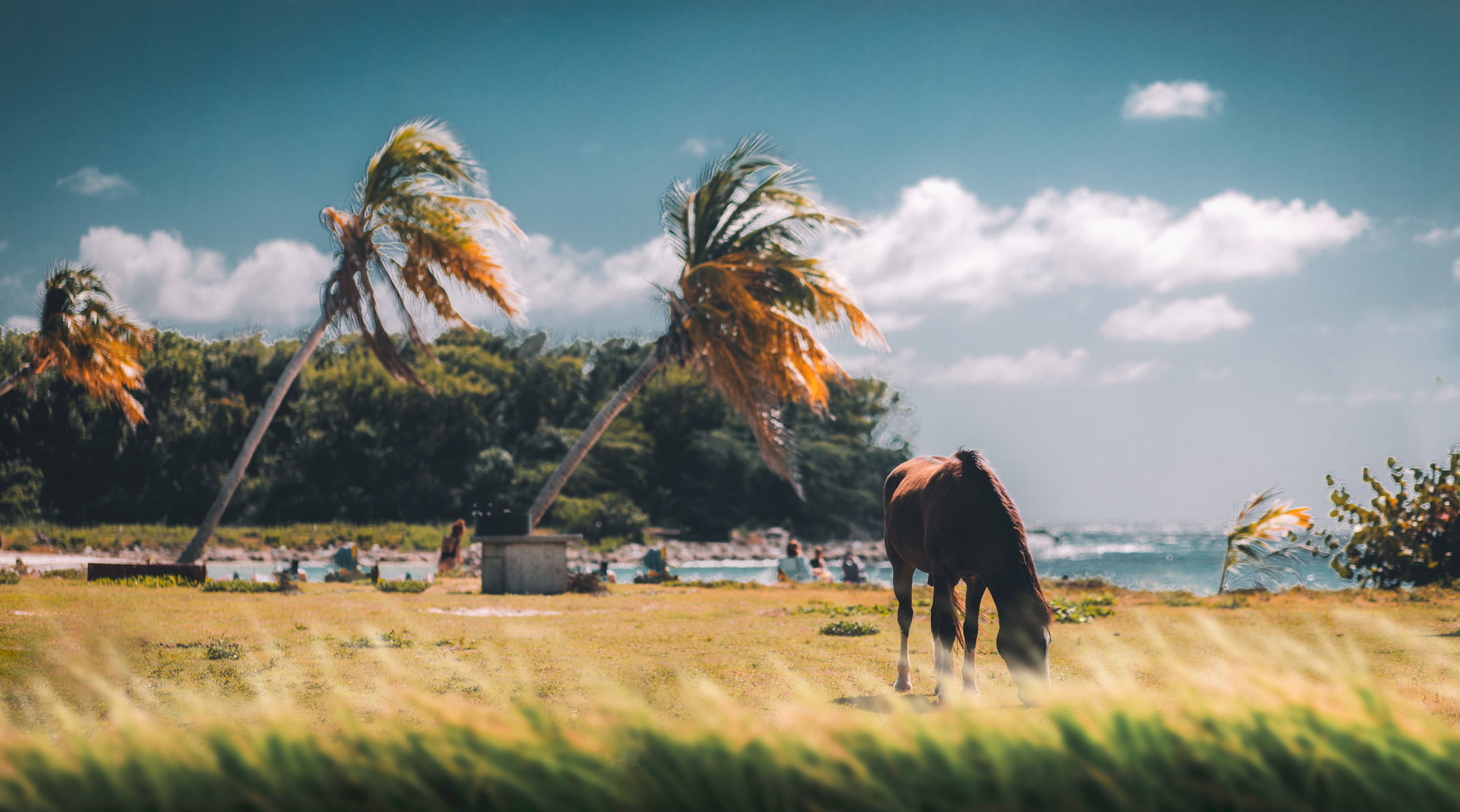 Vieques still has pockets of tranquillity
